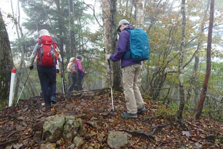三頭山・三頭山の中央峰を超え