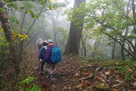 三頭山・ガスに包まれた幻想的な山道