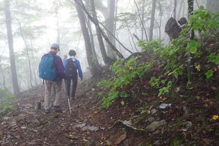 三頭山・ジグザグに下るブナの路