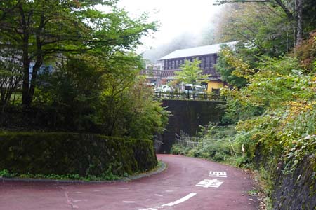 三頭山・森林館の道にたどり着きました
