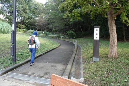 小山内裏公園から長沼公園・南広場から尾根道へ