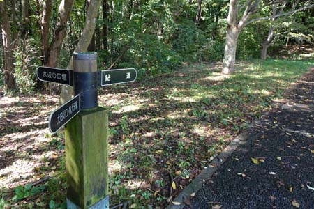 小山内裏公園から長沼公園・芝生広場から鮎道へ