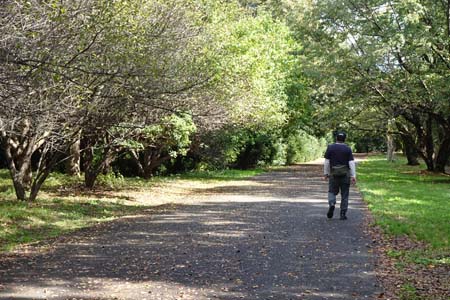 小山内裏公園から長沼公園・トレランの人も多い尾根緑道