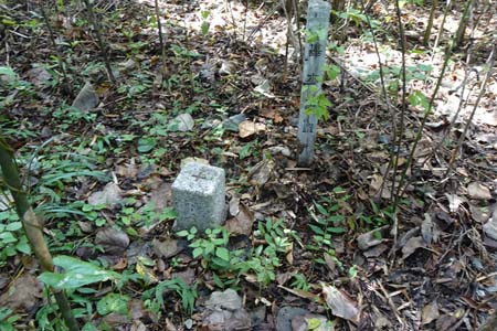 小山内裏公園から長沼公園・藪の中に三角点