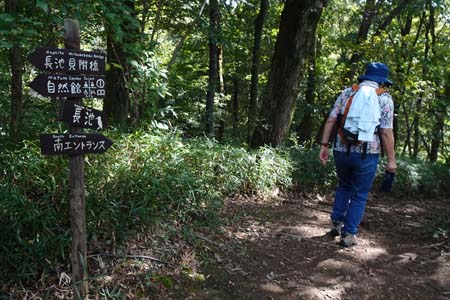 小山内裏公園から長沼公園・長池への道を下り