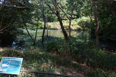 小山内裏公園から長沼公園・青い水をたたえる築池