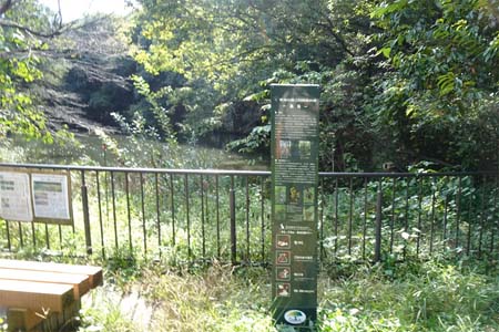小山内裏公園から長沼公園・長池に下りてしまいました