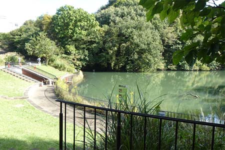 小山内裏公園から長沼公園・築池の対岸にたどり着きました
