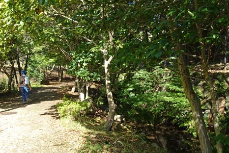 小山内裏公園から長沼公園・細い流れに沿って続く道