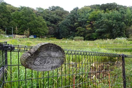 桜ヶ丘公園から原峰公園・連光寺谷戸田