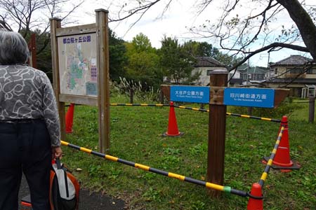 桜ヶ丘公園から原峰公園・桜ヶ丘公園とんぼの広場