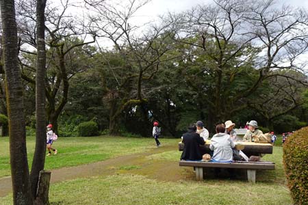 桜ヶ丘公園から原峰公園・丘の上広場にベンチ