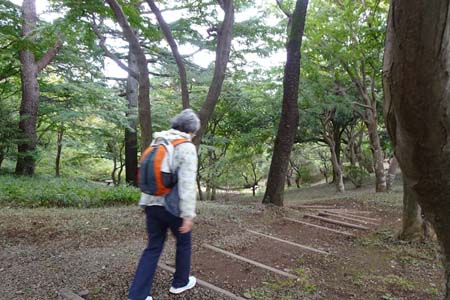 桜ヶ丘公園から原峰公園・丘の上広場から階段を下り
