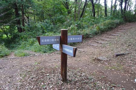 桜ヶ丘公園から原峰公園・公園西中央口方面に