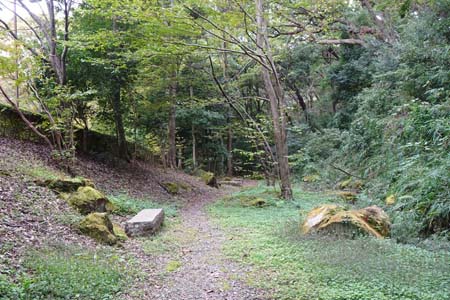 桜ヶ丘公園から原峰公園・大谷戸の谷の遊歩道