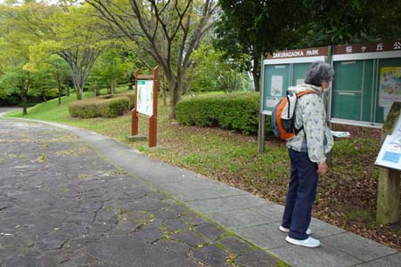 桜ヶ丘公園から原峰公園・西中央公園入口