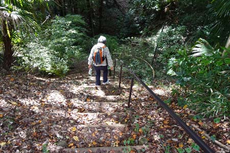 桜ヶ丘公園から原峰公園・落ち葉の階段を下って行きます