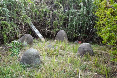 桜ヶ丘公園から原峰公園・ゲートの脇に三角点