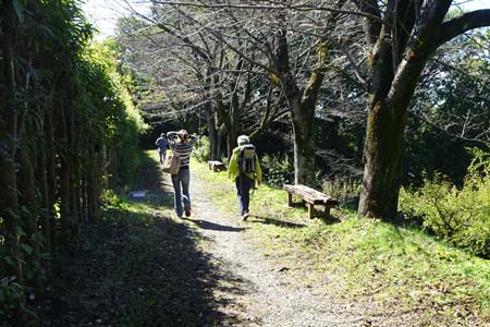 小田急多摩センター駅から永山駅・緩やかな道を歩いて