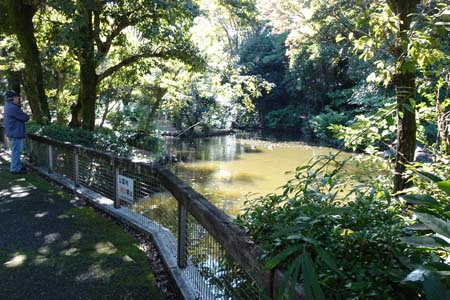小田急多摩センター駅から永山駅・せせらぎに沿って続く遊歩道