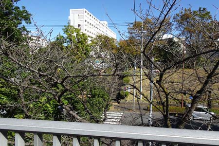 小田急多摩センター駅から永山駅・２つの歩道橋を渡り