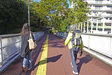 小田急多摩センター駅から永山駅・長い歩道橋の道