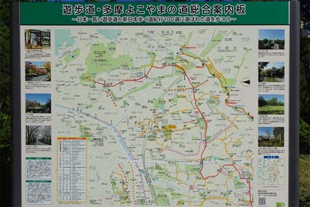 小田急多摩センター駅から永山駅・多摩よこやまの道の案内板