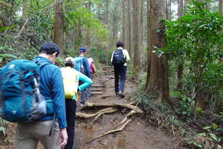 小仏城山から高尾山・杉木立の坂道を登って