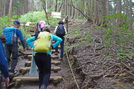 小仏城山から高尾山・木の階段が整備された登山道