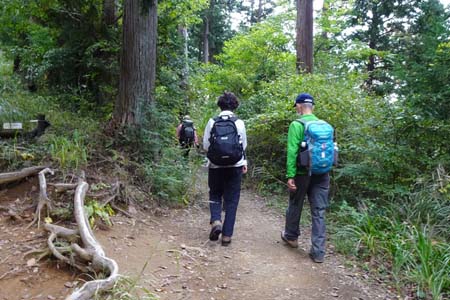 小仏城山から高尾山・もみじ台は巻き道を回り