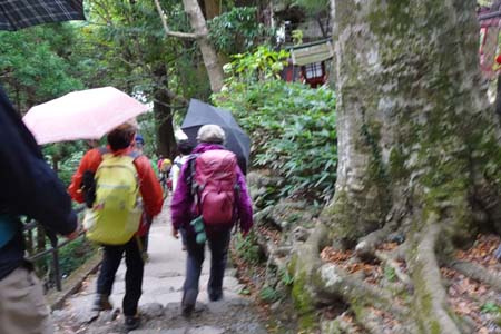 小仏城山から高尾山・小雨が落ち始めた登山道を下って