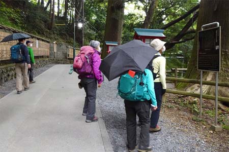 小仏城山から高尾山・スギ苗木の奉納札