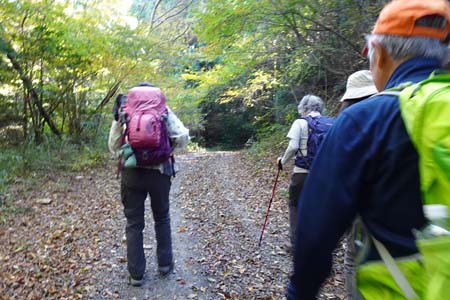 筑波山・落ち葉の林道を歩いていきます