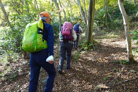 筑波山・薄い踏み跡を登って行きます
