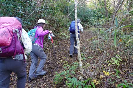筑波山・キャンプ場コースへと続く道