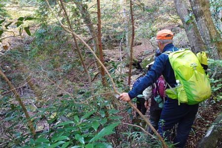 筑波山・沢へと下って行きます