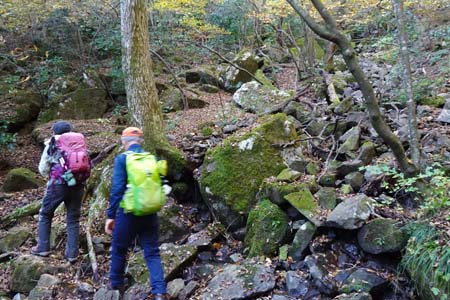 筑波山・春にはニリンソウが咲いている沢