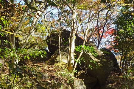 筑波山・護摩壇の周辺は紅葉が進み