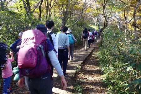 筑波山・ジグザグに登るとハイキングコースに