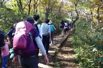 ジグザグに登るとハイキングコースに