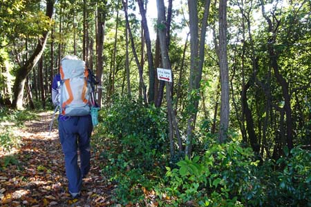 秋川丘陵・道標に導かれながら尾根道を