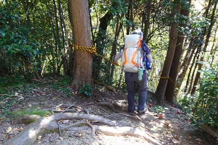秋川丘陵・固定ロープが張られた急坂を下り
