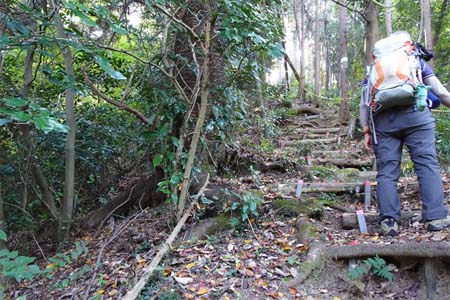 秋川丘陵・木の階段が続く急坂
