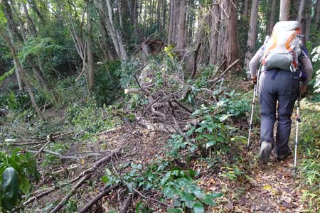 秋川丘陵・途中では伐採作業が行われています