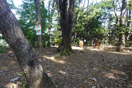 秋川丘陵・木立に囲われた広場は網代城跡