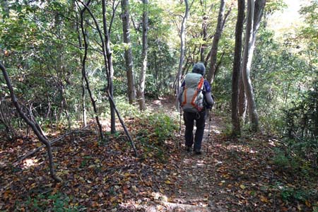 秋川丘陵・雑木林の道を下って行きます