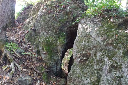 秋川丘陵・山頂周辺は岩っぽいところ