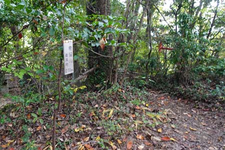 秋川丘陵・雹留山の山頂標識