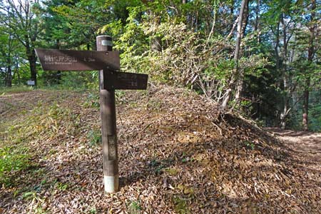 秋川丘陵・落ち葉が積もる林道