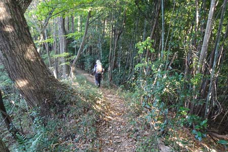 秋川丘陵・笹に尾根道をたどり
